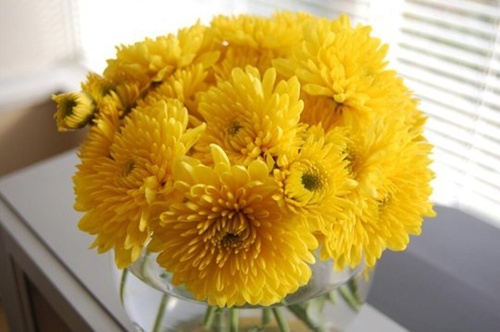 5 loại hoa ý nghĩa may mắn bạn nên bày trong dịp Tết