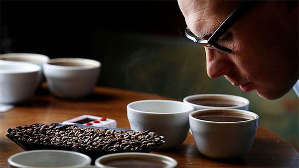 Cách phân biệt Cà phê thật và Cà phê lẫn hóa chất bạn cần biết cần biết