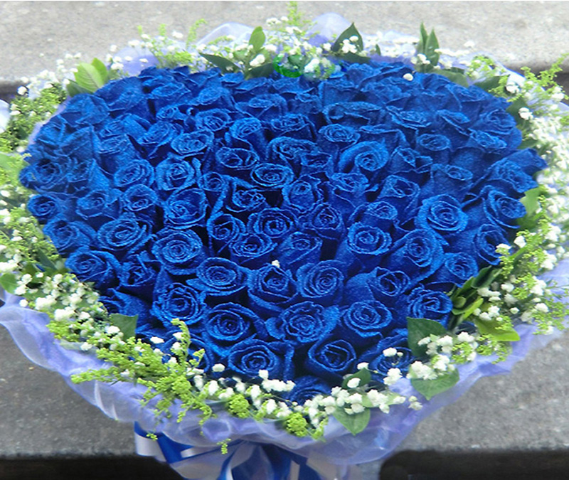 Hoa hồng  tặng bạn gái đẹp lung linh và ý nghĩa của chúng trong tình yêu