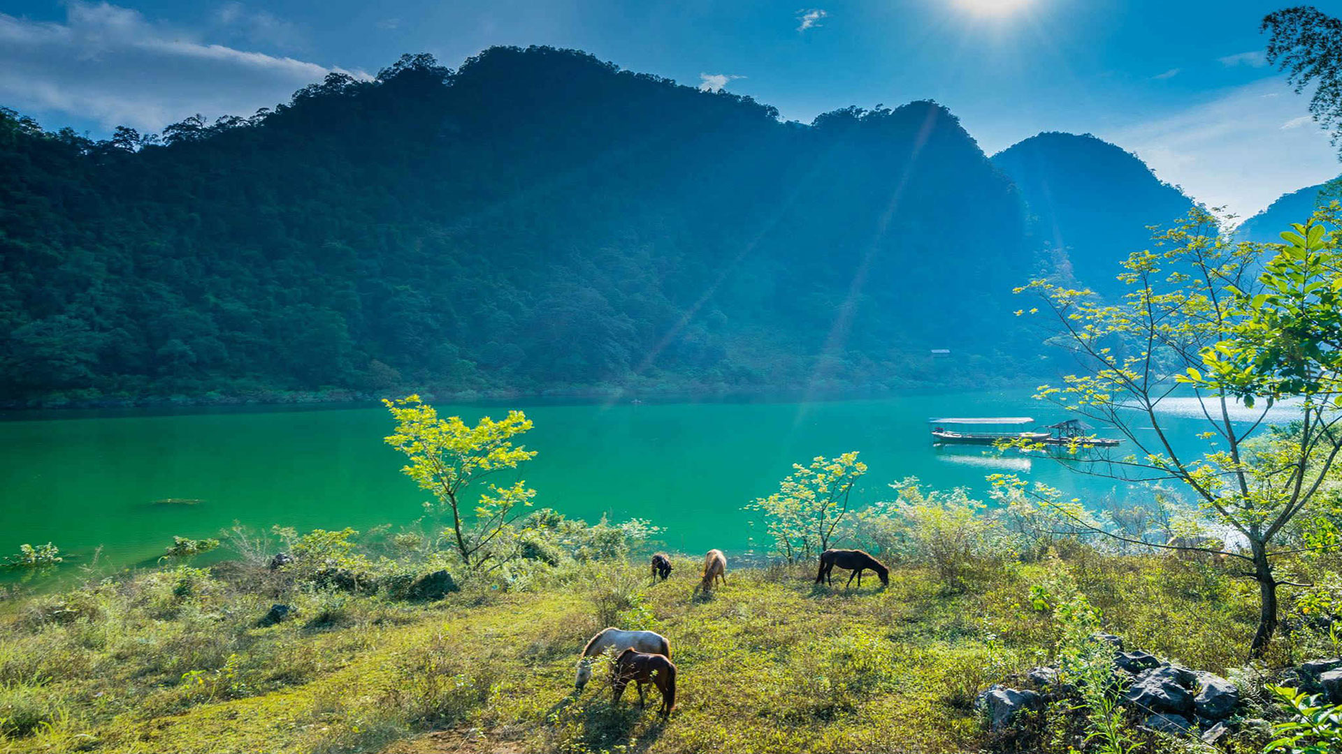 Hòa mình vào phong cảnh thiên nhiên cùng 7 vườn quốc gia đẹp nhất Việt Nam