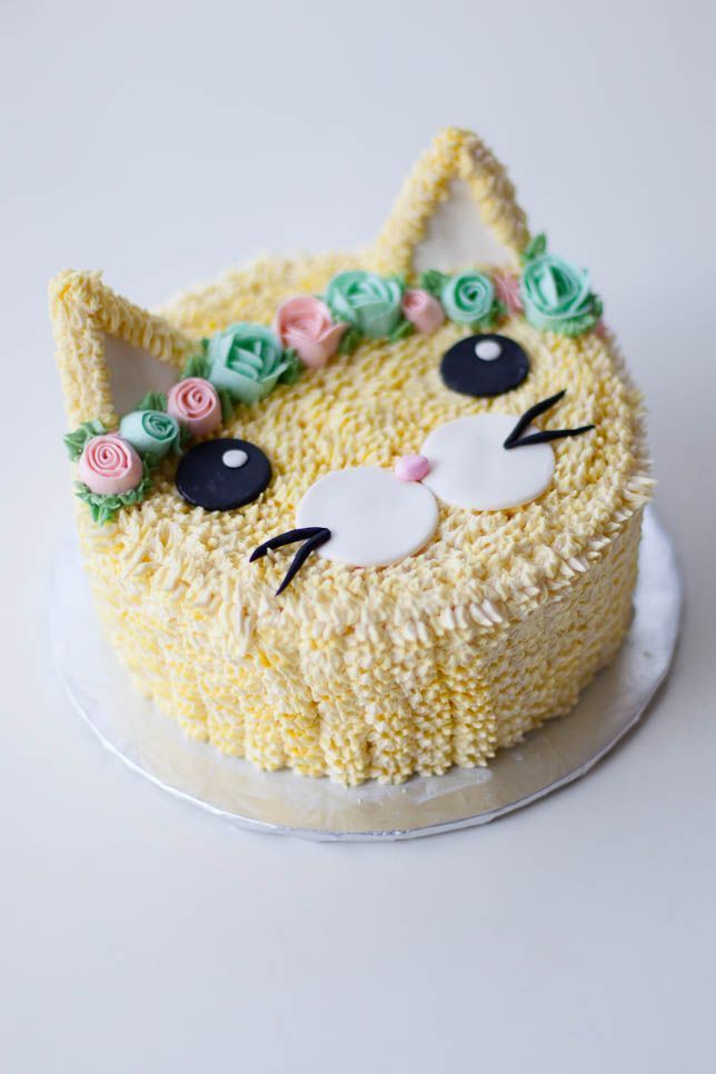 BVH48  Bánh sinh nhật Bé mèo Donut sz18  Tokyo Gateaux  Đặt bánh lấy  ngay tại Hà Nội