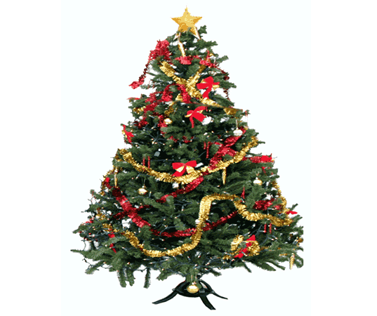 Cách trang trí cây thông Noel lộng lẫy và đơn giản tại nhà