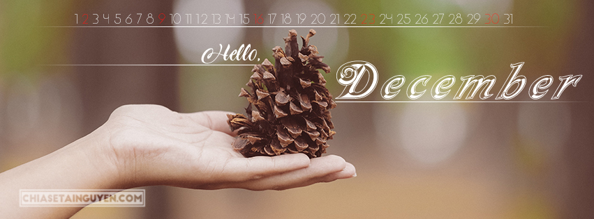 Chia sẻ cover, ảnh bìa tháng 12 - Hello December đẹp lung linh nhất