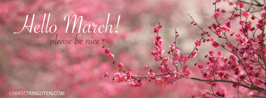 Top ảnh bìa cover facebook tháng 3 - Hello March đẹp cực chất