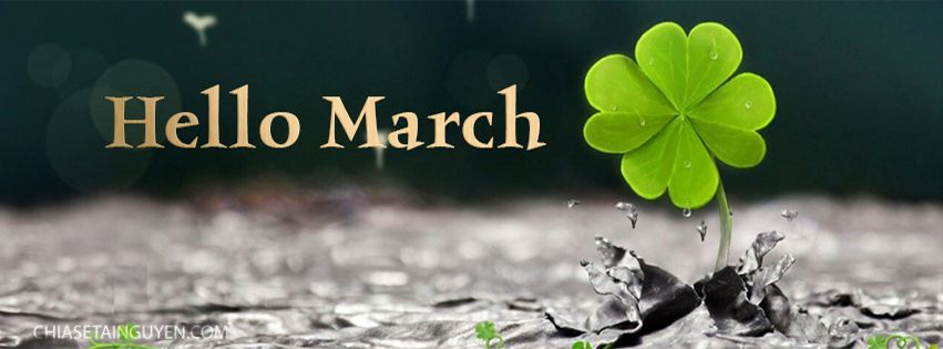 Top ảnh bìa cover facebook tháng 3 - Hello March đẹp cực chất