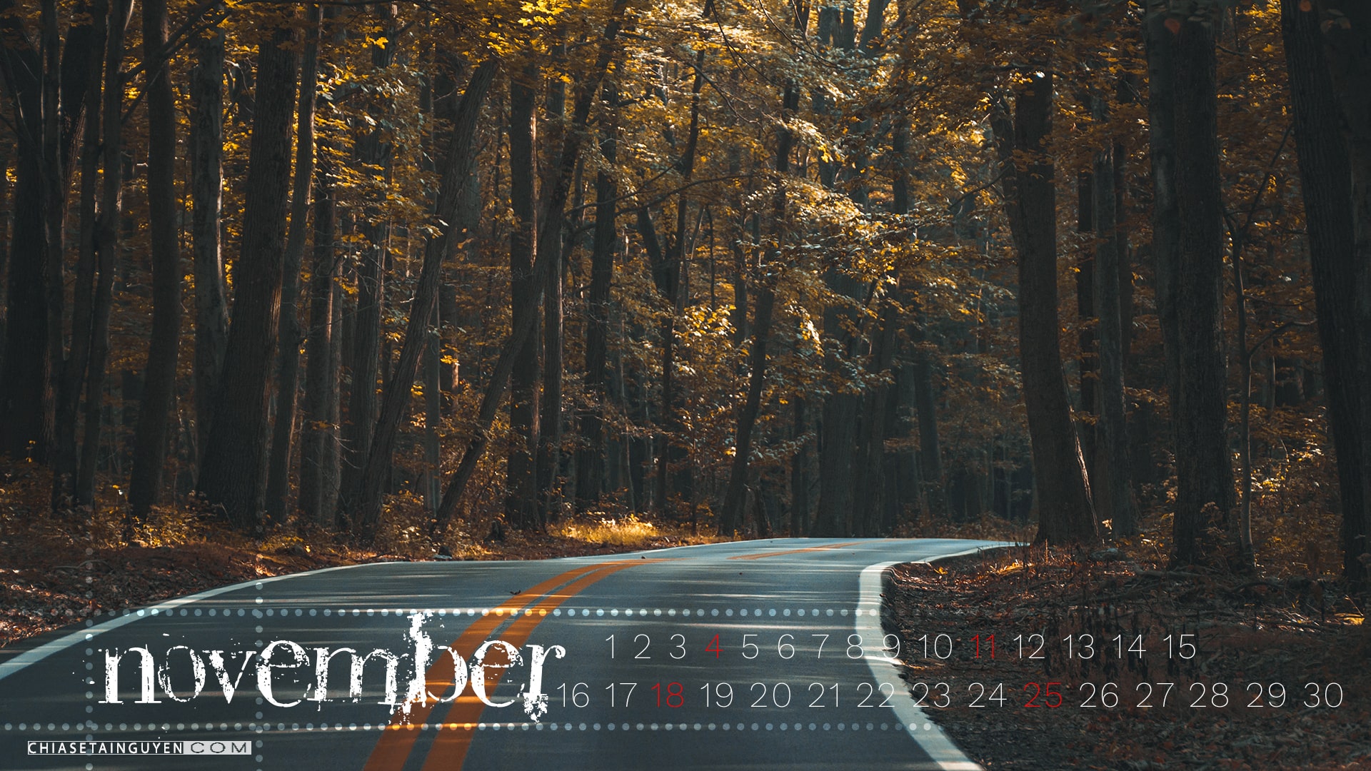 Hình nền Desktop tháng 11 đẹp: Một mùa thu rực rỡ hữu tình với những trái bí ngô vàng rực rỡ, những chiếc lá xanh lượn sóng trên những con đường đầy màu sắc. Để không bỏ lỡ bất kỳ cảnh ngộ nào của tháng 11, hãy chọn một trong những bức hình nền desktop tháng 11 đẹp nhất, mang đến cho bạn sự bình yên và tiếng ròn rỏ từ thiên nhiên.