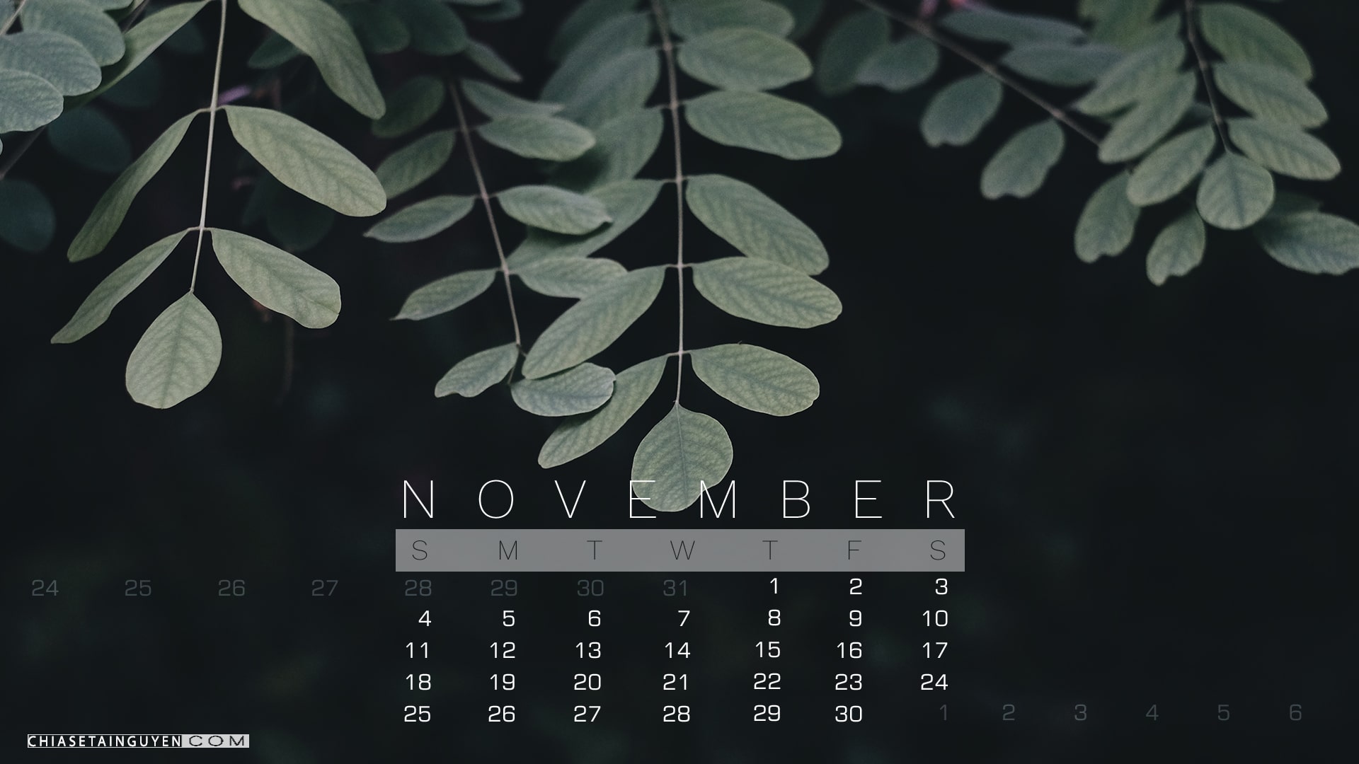 Trọn sắc thu cùng bộ hình nền Desktop tháng 11 có lịch đẹp lung linh nhất
