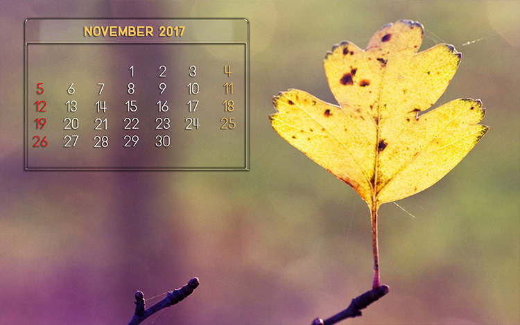 Chia sẻ bộ lịch chào tháng 11/2017 đẹp nhất