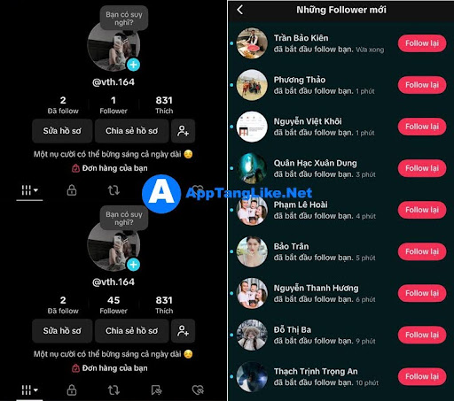 Mua Follow Tiktok Uy Tín, An Toàn Giá Rẻ tại AppTangLike