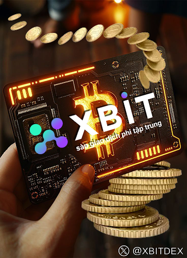 Pháo đài tuân thủ CEX so với bức tường sắt DEX của XBIT: Cuộc chiến mở rộng tham vọng 