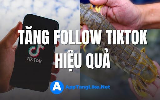 Cách tăng follow tiktok miễn phí