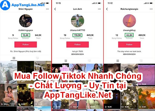AppTangLike.Net - Cung cấp dịch vụ follow Uy Tín