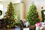 Cách trang trí cây thông Noel lộng lẫy và đơn giản tại nhà