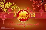 Bộ PSD banner, thiệp tết 2019, background năm mới 2019 tuyệt đẹp