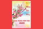 Chia sẻ file PSD thiệp tết, thiệp năm mới 2020 đẹp ấn tượng nhất