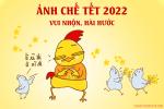 Bộ ảnh chế tết 2023 vui nhộn hài hước nhất chào năm mới
