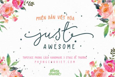 Bộ font chữ  FS Just Awesome Việt hóa
